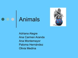 Animals Adriana Alegre Ana Carmen Aranda Ana Montemayor Paloma Hernández Olivia Medina 