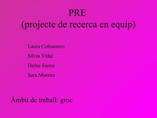 PRE  (projecte de recerca en equip) Àmbit de treball: groc Laura Colmenero Silvia Vidal Dafne Sierra Sara Moreno 