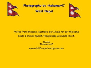 Photography by thekumar47 West Nepal Photos from Brisbane, Australia, but I have not put the name Cause I am new myself, though hope you would like it. Thanks Thekumar47 www.wildlifenepal.wordpress.com 