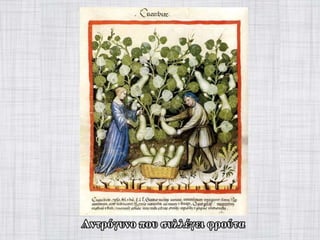 γυναίκα στον-μεσαίωνα-Power-point