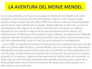 LA AVENTURA DEL MONJE MENDEL Es en este ambiente, en el que se conjugaba el interés por los híbridos con cierta confusión sobre el mecanismo de la fecundación vegetal, es en el que el monje agustino Gregor Johann Mendel (1822-1884) iba a llevar a cabo sus transcendentales experimentos sobre hibridación en plantas. Reconocido hoy en día como uno de los investigadores más sagaces de la historia, Mendel fue en su época un modesto docente que no superó en ninguna de las dos ocasiones en que lo intentó, los exámenes que le habilitaran como profesor titular. Además, la aceptación en 1868 del cargo de abad del monasterio agustiniano de Brün (ahora Brno, Checoslovaquia) hizo que fuera abandonando, cada vez más, las tareas docentes e investigadoras.    Fue en 1853, al regresar al monasterio después de haber estudiado física durante dos años en la Universidad de Viena, cuando Mendel, que era conocedor de la abundante bibliografía que sobre experimentos realizados con híbridos se había publicado en los últimos años, resolvió dedicarse al estudio de la transmisión de caracteres en plantas de jardín. En su opinión, ninguno de los experimentos hechos hasta ese momento, lo había sido con una extensión suficientemente grande como para que, a partir de él, fuera posible determinar el número diferente de formas que cabría esperar en la descendencia de los híbridos.     