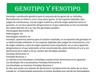 GENOTIPO Y FENOTIPO Genotipo: constitución genética para el conjunto de los genes de un individuo. Normalmente se refiere a uno o muy pocos genes. En las especies diploides (dos juegos de cromosomas, uno de origen materno y otro de origen paterno) como el guisante, en un locus (posición del genoma) en el que solamente se han encontrado dos alelos distintos (A y a), hay tres genotipos posibles:  Homocigoto dominante: AA  Heterocigoto: Aa  Homocigoto recesivo: aa  Fenotipo: apariencia externa para el carácter analizado, es la expresión del genotipo en un determinado ambiente. En las especies diploides (dos juegos de cromosomas, uno de origen materno y otro de origen paterno) como el guisante, en un locus (posición del genoma) en el que solamente se han encontrado dos alelos distintos (A y a) y con dominancia de A sobre a (A>a), existen dos fenotipos posibles: Fenotipo Dominante: A  Fenotipo Recesivo: a  La relación entre Genotipos y Fenotipos cuando existe dominancia es la siguiente: Los Genotipos AA y Aa presentan Fenotipo Dominante A  Los Genotipos aa muestran Fenotipo Recesivo a.  Se dice que existe una relación de dominancia completa entre los alelos de un locus cuando un  el heterocigoto presentan el mismo fenotipo que uno de los homocigotos. 