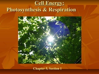 Cell Energy:Cell Energy:
Photosynthesis & RespirationPhotosynthesis & Respiration
Chapter 5, Section 1
 