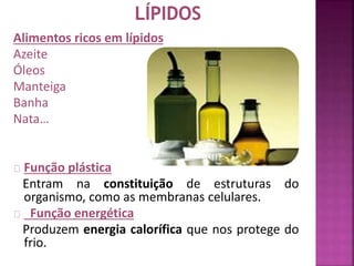 Alimentos ricos em lípidos 
Azeite 
Óleos 
Manteiga 
Banha 
Nata… 
Função plástica 
Entram na constituição de estruturas do 
organismo, como as membranas celulares. 
Função energética 
Produzem energia calorífica que nos protege do 
frio. 
 