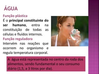 Função plástica 
É o principal constituinte do 
ser humano, entra na 
constituição de todas as 
células e fluídos internos. 
Função reguladora 
Intervém nas reações que 
ocorrem no organismo e 
regula temperatura corporal. 
A água está representada no centro da roda dos 
alimentos, sendo fundamental o seu consumo 
diário (1,5, a 3 litros por dia). 
 