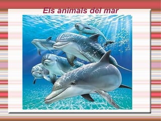 Els animals del mar 