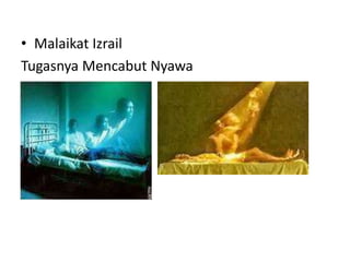 • Malaikat Izrail
Tugasnya Mencabut Nyawa
 