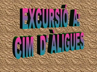 EXCURSIÓ  A: CIM  D' ÀLIGUES 