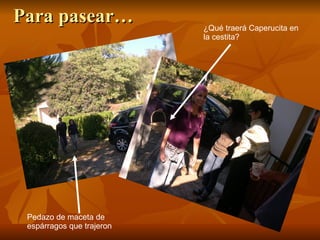 Para pasear… ¿Qué traerá Caperucita en la cestita? Pedazo de maceta de espárragos que trajeron 