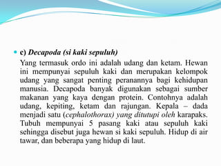  c) Decapoda (si kaki sepuluh)
 Yang termasuk ordo ini adalah udang dan ketam. Hewan
 ini mempunyai sepuluh kaki dan merupakan kelompok
 udang yang sangat penting peranannya bagi kehidupan
 manusia. Decapoda banyak digunakan sebagai sumber
 makanan yang kaya dengan protein. Contohnya adalah
 udang, kepiting, ketam dan rajungan. Kepala – dada
 menjadi satu (cephalothorax) yang ditutupi oleh karapaks.
 Tubuh mempunyai 5 pasang kaki atau sepuluh kaki
 sehingga disebut juga hewan si kaki sepuluh. Hidup di air
 tawar, dan beberapa yang hidup di laut.
 