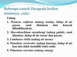 Beberapa contoh Decapoda berikut
uraiannya, yaitu:
 Udang
 1. Penacus setiferus (udang windu), hidup di air
     payau,     enak     dimakan      dan    banyak
     dibudidayakan.
 2. Macrobrachium rasenbengi (udang galah), enak
     dimakan, hidup di air tawar dan payau.
 3. Cambarus virilis (udang air tawar)
 4. Panulirus versicolor (udang karang), hidup di air
     laut dan tidak memiliki kaki catut.
 5. Palaemon carcinus (udang sotong)
 