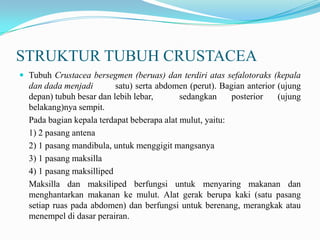 STRUKTUR TUBUH CRUSTACEA
 Tubuh Crustacea bersegmen (beruas) dan terdiri atas sefalotoraks (kepala
  dan dada menjadi        satu) serta abdomen (perut). Bagian anterior (ujung
  depan) tubuh besar dan lebih lebar,       sedangkan     posterior    (ujung
  belakang)nya sempit.
  Pada bagian kepala terdapat beberapa alat mulut, yaitu:
  1) 2 pasang antena
  2) 1 pasang mandibula, untuk menggigit mangsanya
  3) 1 pasang maksilla
  4) 1 pasang maksilliped
  Maksilla dan maksiliped berfungsi untuk menyaring makanan dan
  menghantarkan makanan ke mulut. Alat gerak berupa kaki (satu pasang
  setiap ruas pada abdomen) dan berfungsi untuk berenang, merangkak atau
  menempel di dasar perairan.
 