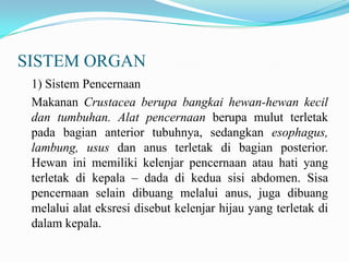 SISTEM ORGAN
 1) Sistem Pencernaan
 Makanan Crustacea berupa bangkai hewan-hewan kecil
 dan tumbuhan. Alat pencernaan berupa mulut terletak
 pada bagian anterior tubuhnya, sedangkan esophagus,
 lambung, usus dan anus terletak di bagian posterior.
 Hewan ini memiliki kelenjar pencernaan atau hati yang
 terletak di kepala – dada di kedua sisi abdomen. Sisa
 pencernaan selain dibuang melalui anus, juga dibuang
 melalui alat eksresi disebut kelenjar hijau yang terletak di
 dalam kepala.
 
