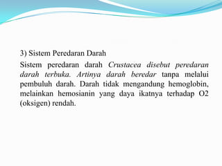 3) Sistem Peredaran Darah
Sistem peredaran darah Crustacea disebut peredaran
darah terbuka. Artinya darah beredar tanpa melalui
pembuluh darah. Darah tidak mengandung hemoglobin,
melainkan hemosianin yang daya ikatnya terhadap O2
(oksigen) rendah.
 