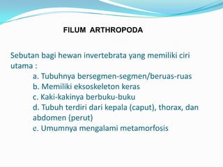 FILUM ARTHROPODA


Sebutan bagi hewan invertebrata yang memiliki ciri
utama :
      a. Tubuhnya bersegmen-segmen/beruas-ruas
      b. Memiliki eksoskeleton keras
      c. Kaki-kakinya berbuku-buku
      d. Tubuh terdiri dari kepala (caput), thorax, dan
      abdomen (perut)
      e. Umumnya mengalami metamorfosis
 