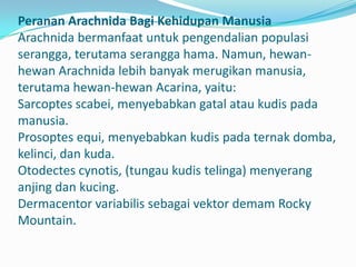 Peranan Arachnida Bagi Kehidupan Manusia
Arachnida bermanfaat untuk pengendalian populasi
serangga, terutama serangga hama. Namun, hewan-
hewan Arachnida lebih banyak merugikan manusia,
terutama hewan-hewan Acarina, yaitu:
Sarcoptes scabei, menyebabkan gatal atau kudis pada
manusia.
Prosoptes equi, menyebabkan kudis pada ternak domba,
kelinci, dan kuda.
Otodectes cynotis, (tungau kudis telinga) menyerang
anjing dan kucing.
Dermacentor variabilis sebagai vektor demam Rocky
Mountain.
 