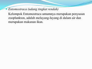  Entomostraca (udang tingkat rendah)
 Kelompok Entomostraca umumnya merupakan penyusun
 zooplankton, adalah melayang-layang di dalam air dan
 merupakan makanan ikan.
 