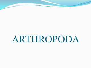 ARTHROPODA
 