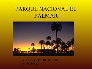 PARQUE NACIONAL EL PALMAR VENGA Y DISFRUTE CON NOSOTROS 