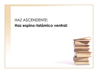 HAZ ASCENDENTE: Haz espino-talámico ventral: 