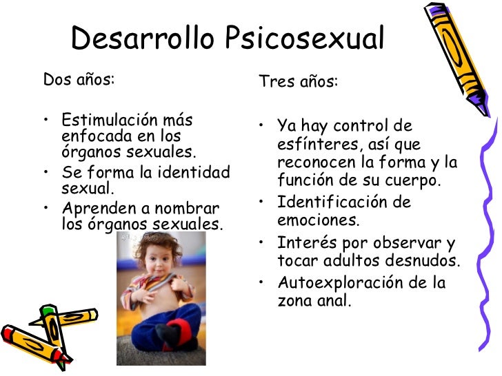Desarrollo Psicosexual <ul><li>Dos años: </li></ul><ul><li>Estimulación más enfocada en los órganos sexuales. </li></ul><u...