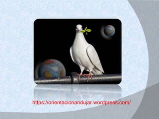 https://orientacionandujar.wordpress.com/ 