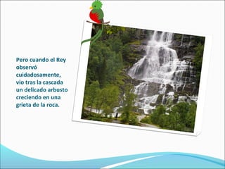 Pero cuando el Rey
observó
cuidadosamente,
vio tras la cascada
un delicado arbusto
creciendo en una
grieta de la roca.
 