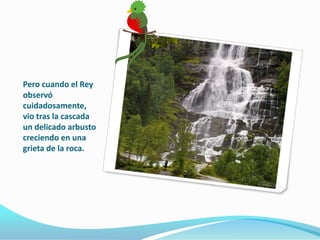Pero cuando el Rey observó cuidadosamente, vio tras la cascada un delicado arbusto creciendo en una grieta de la roca.