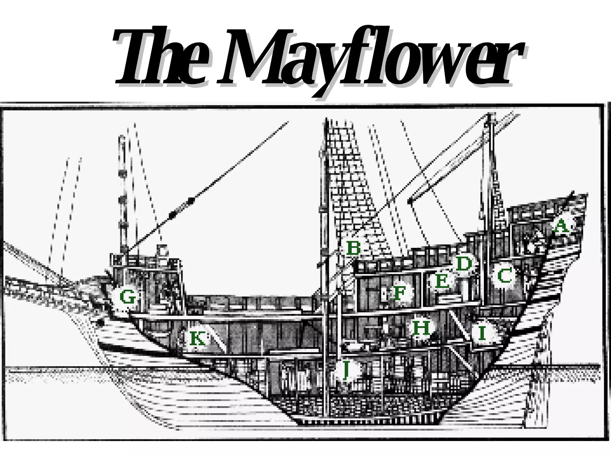 The Mayflower 