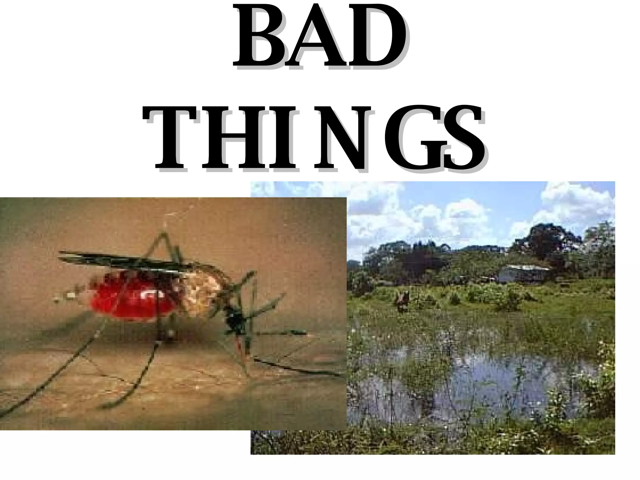 BAD THINGS 