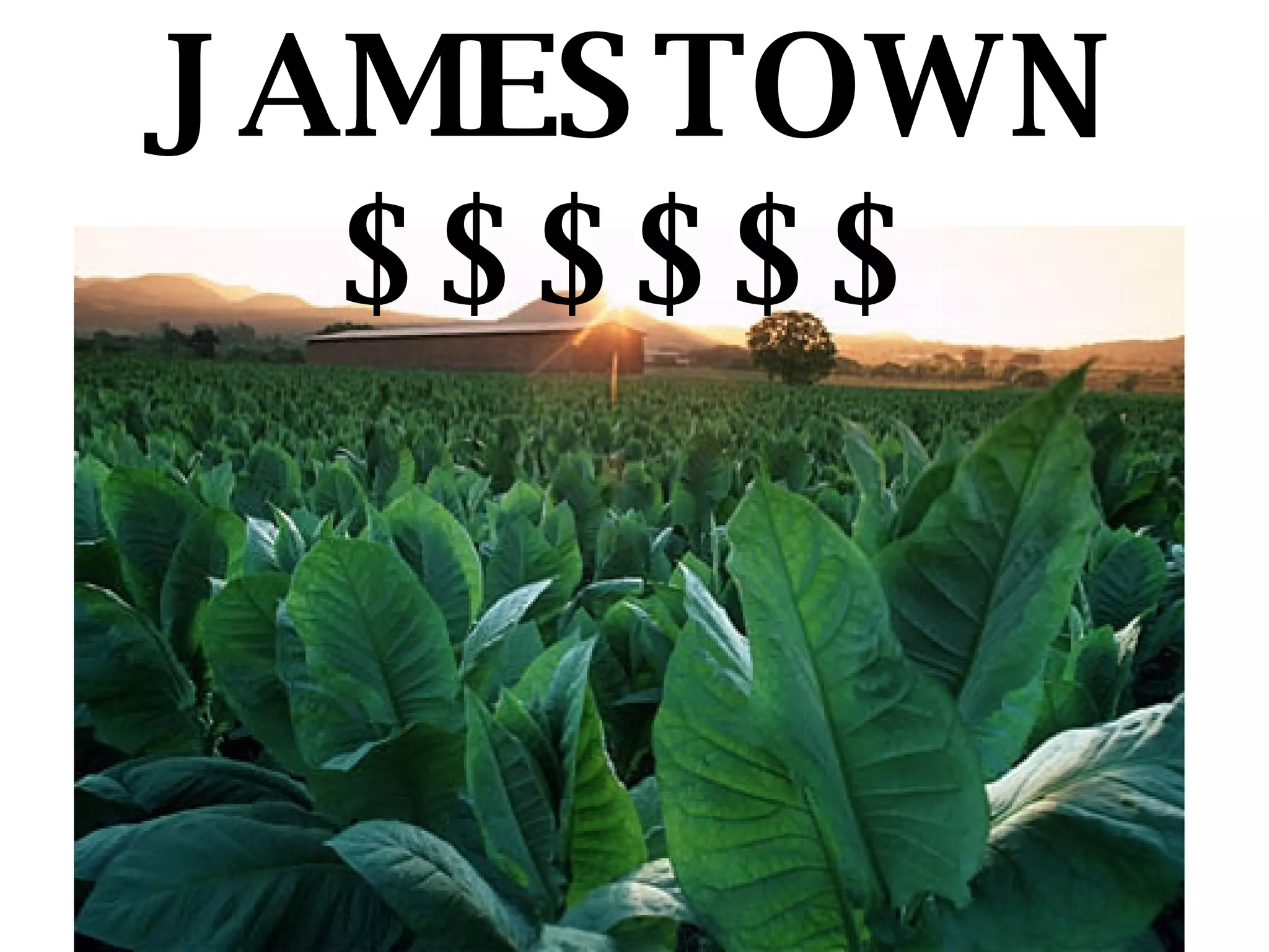 JAMESTOWN $$$$$$ 