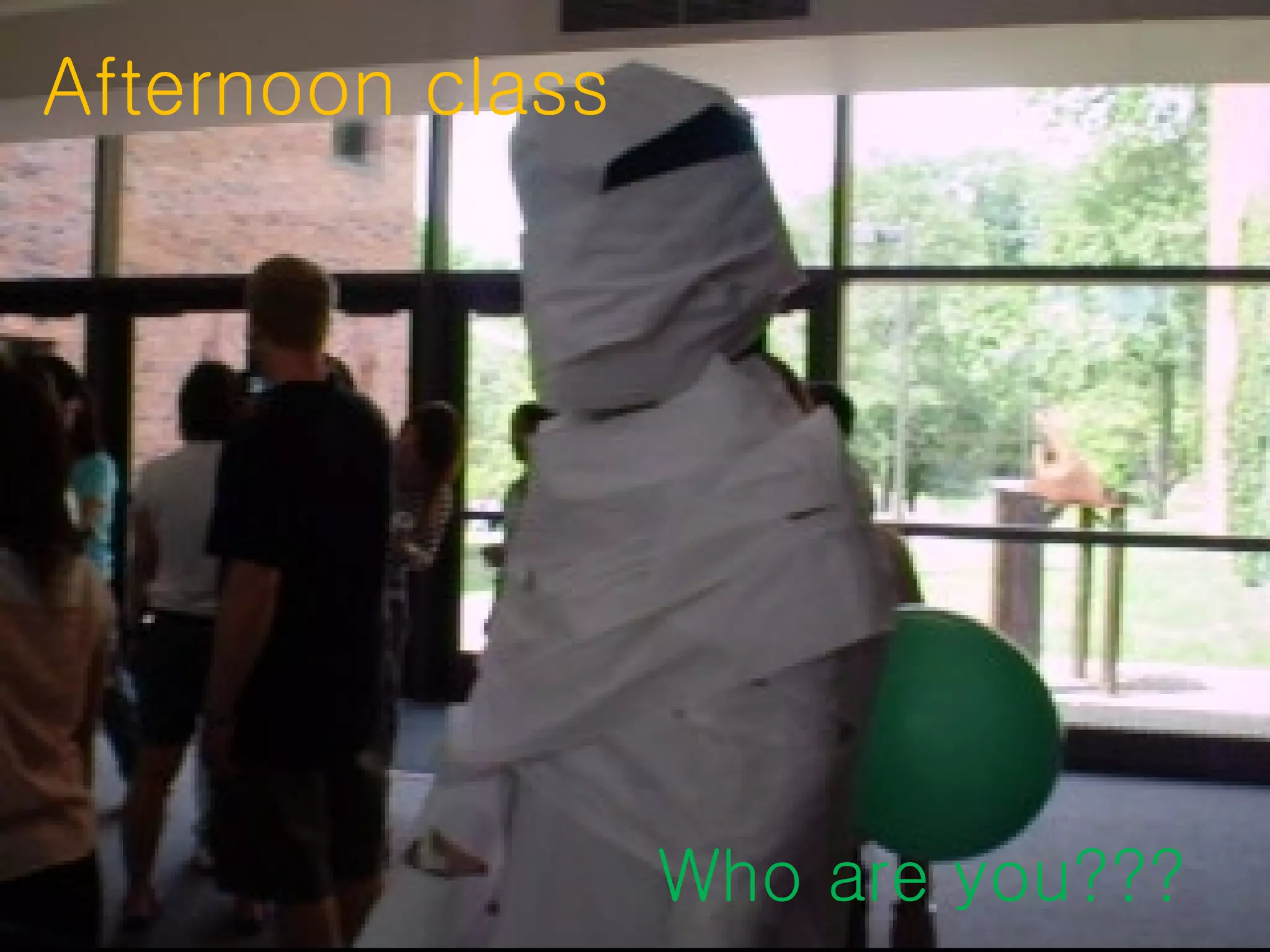 Afternoon class Who are you??? 