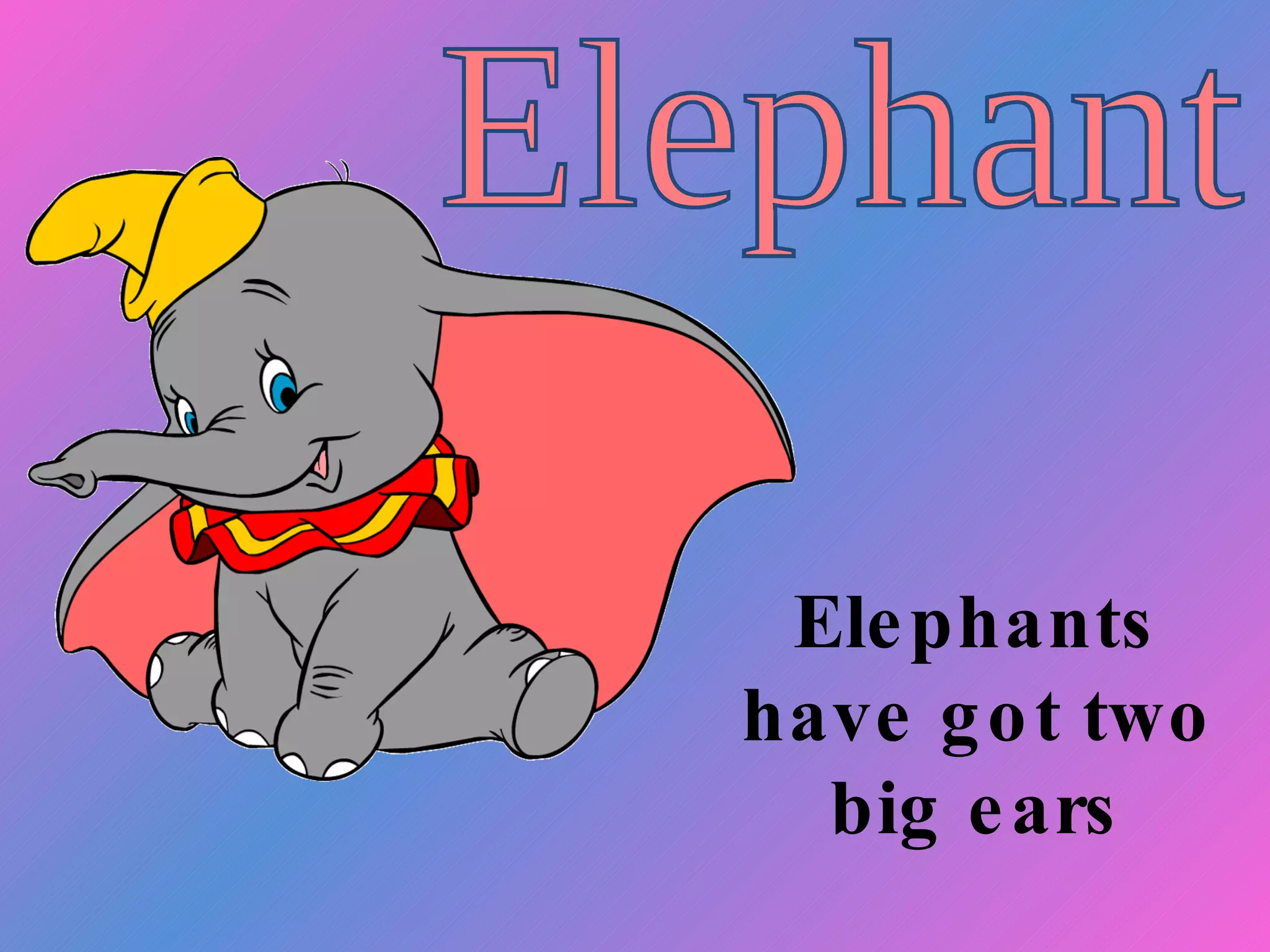 Elephants have got two big ears Elephant