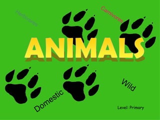 Level: Primary Wild Domestic Herbivores Carnivores 