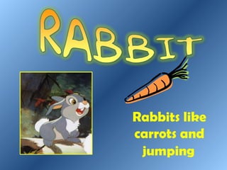 Rabbits like carrots and jumping 