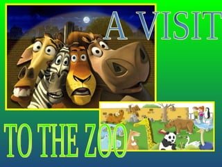 A VISIT TO THE ZOO 