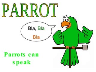 PARROT Parrots can speak Bla,  Bla Bla 