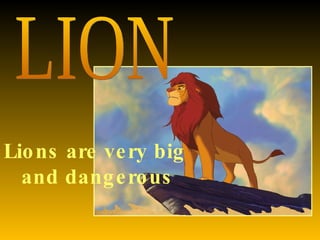 LION Lions are very big  and dangerous 