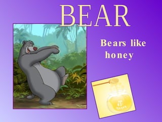 Bears like honey BEAR 