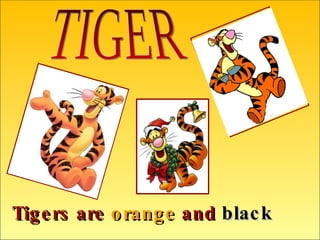 Tigers are   orange   and   black TIGER 