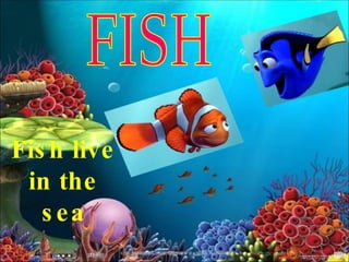 Fish live in the sea FISH 