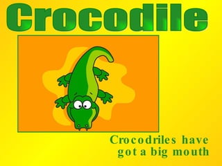 Crocodriles have got a big mouth Crocodile 