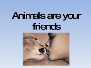 Animals are your friends 