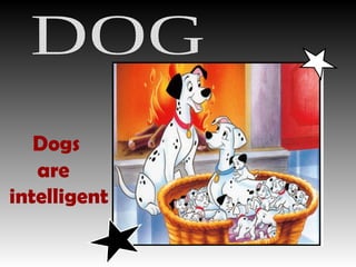 Dogs  are  intelligent DOG 