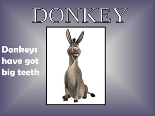 DONKEY Donkeys have got big teeth 
