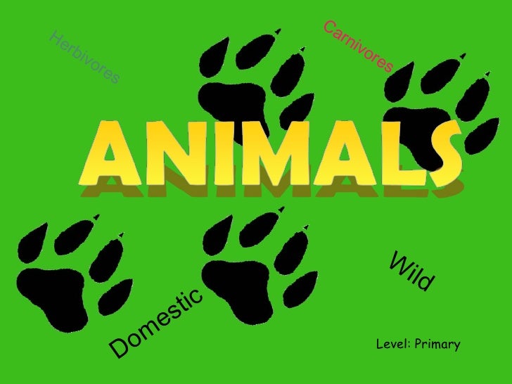 power point animals