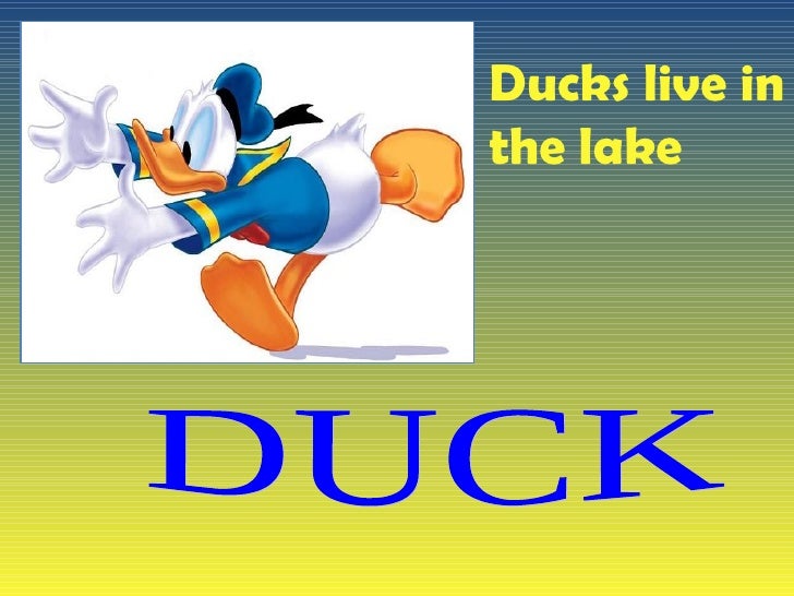 power point animals live animation for powerpoint