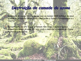 Destruição da camada do ozono A camada do ozono formou-se há mais ou menos 3000 milhões de anos quando os primeiros seres vivos começaram a fazer a fotossíntese e a libertar O2; Actualmente, os CFC´s que o Homem têm vindo a mandar para a atmosfera desde os anos 30, tem vindo a destruir a camada do Ozono tornando-a mais fina. 