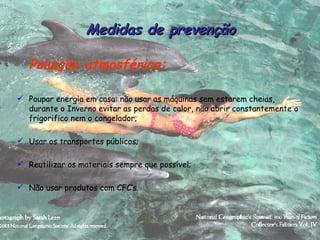 Medidas de prevenção Poluição atmosférica: Poupar energia em casa: não usar as máquinas sem estarem cheias, durante o Inverno evitar as perdas de calor, não abrir constantemente o frigorifico nem o congelador; Usar os transportes públicos; Reutilizar os materiais sempre que possível; Não usar produtos com CFC’s. 