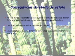 Consequências do efeito de estufa O gelo dos pólos derrete fazendo subir o nível médio das águas do mar. Isto leva à destruição das costas e das espécies que aí habitam; Secas e consequente morte de animais e plantas; Algumas plantas e animais morrem porque não aguentam temperaturas muito altas. 